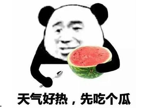 娱乐吃瓜表情图片可爱版,娱乐吃瓜表情可爱版大盘点