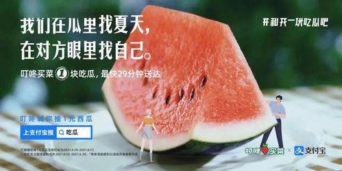 娱乐吃瓜文案怎么弄的,揭秘娱乐吃瓜文案背后的创作技巧与热点追踪