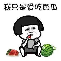 娱乐吃瓜文字