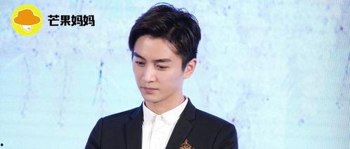 娱乐陈晓吃瓜视频,娱乐圈幕后真相大揭秘